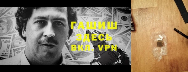 прущий лед Алзамай