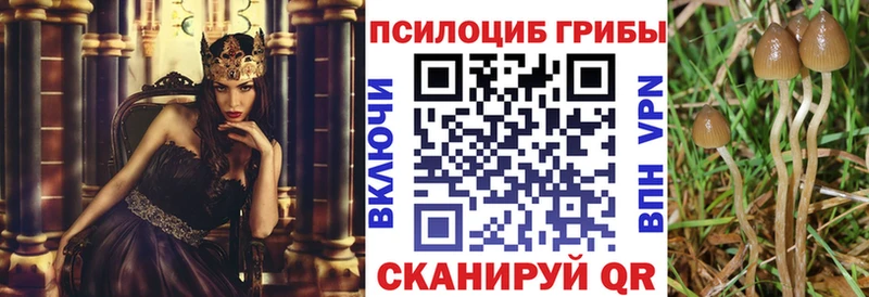 Галлюциногенные грибы Psilocybe  блэк спрут зеркало  Шатура  даркнет сайт 