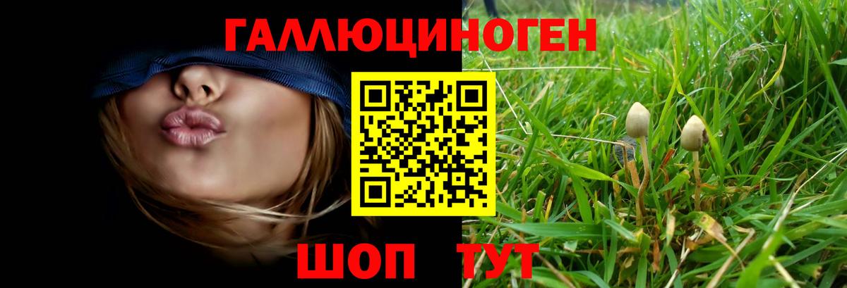 закладка  Вход с VPN  Шатура  Галлюциногенные грибы GOLDEN TEACHER 