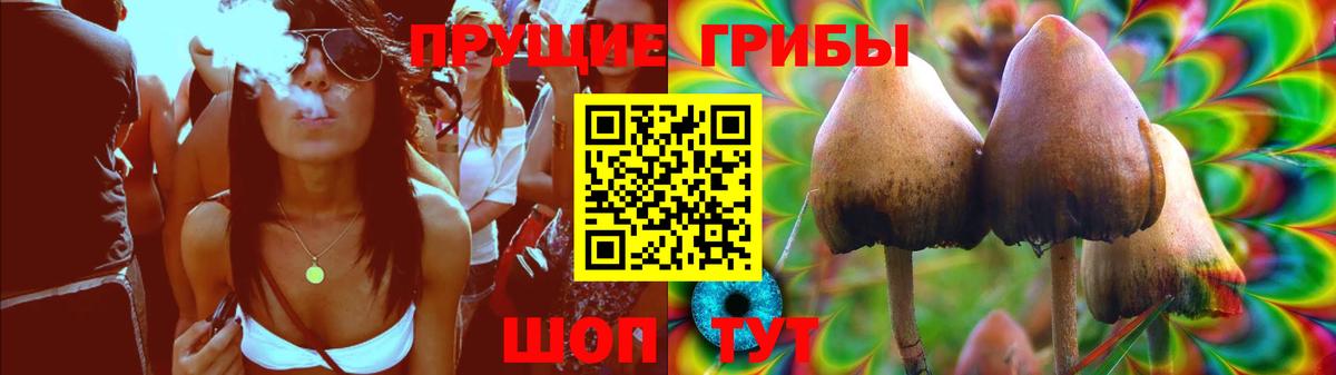 Псилоцибиновые грибы Psilocybe Шатура