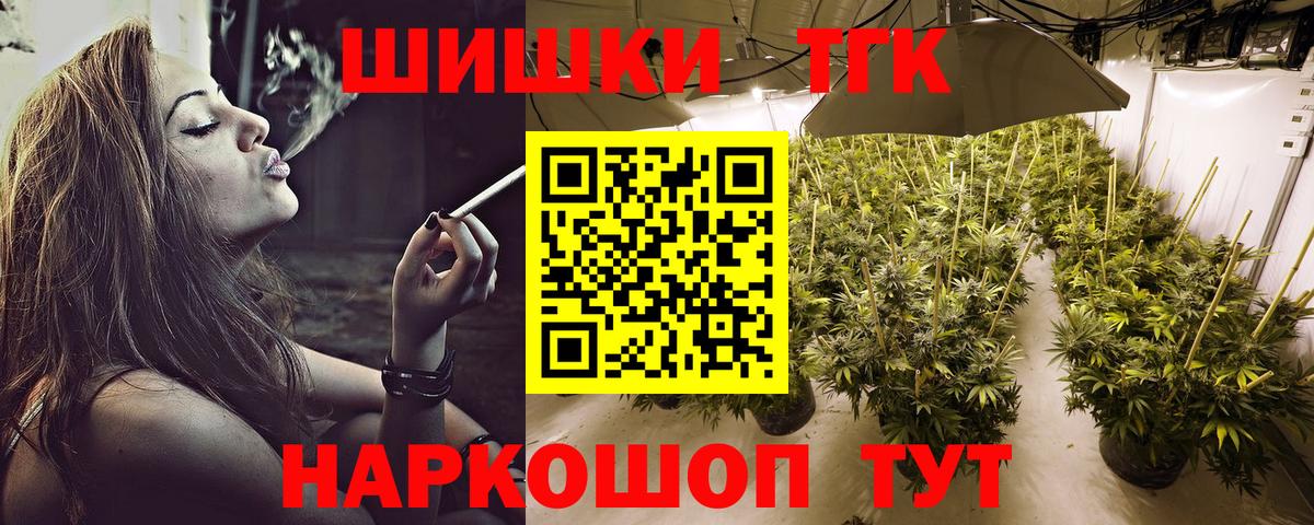 Конопля сатива Шатура
